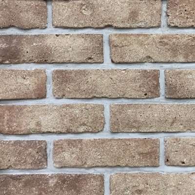 Thin Brick Feature And Solid Porosity Clay Decorative Brick , Size 205x55x12mm