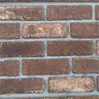 Antique brick rustic brick for sale with great price