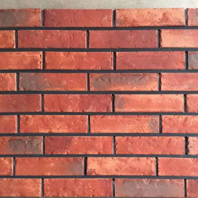 Clay building construction material brick supplier with more than 10 years