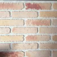 Red clay brick factory supplying the different face brick types for sale